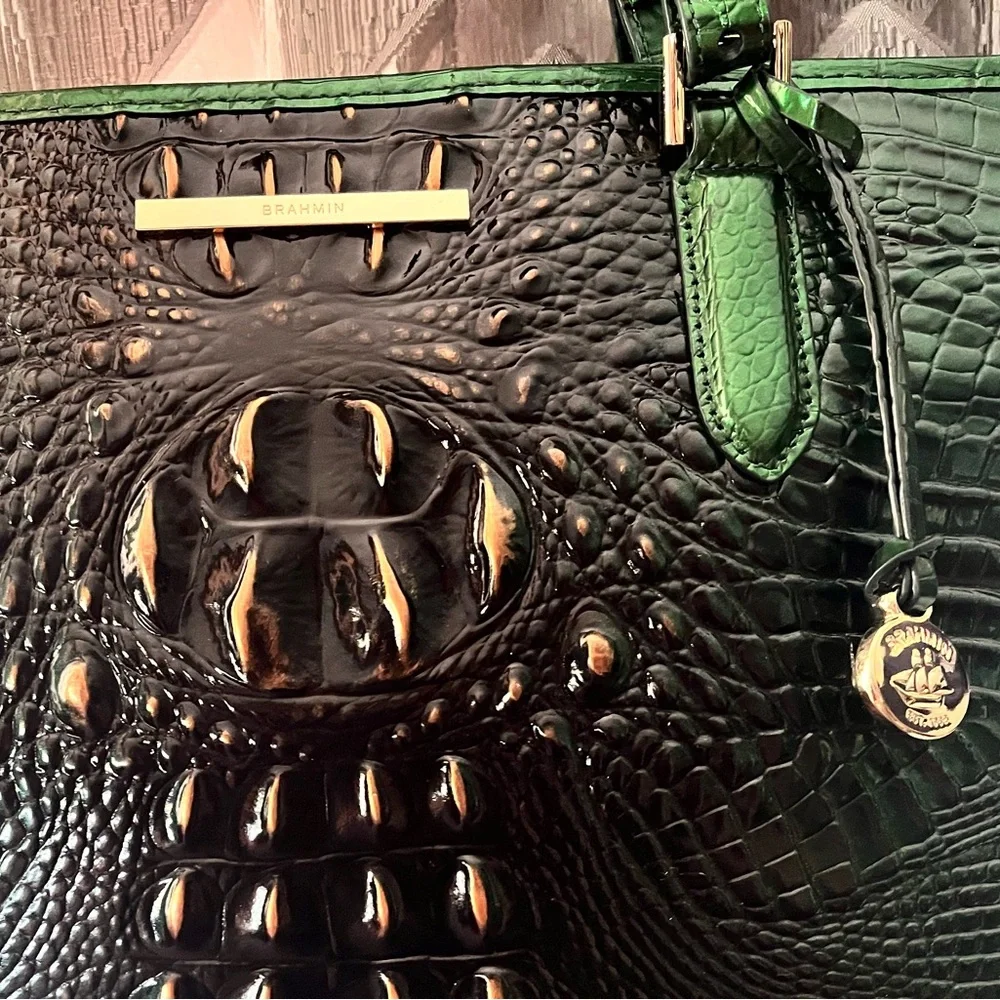 NWT Brahmin EVERGREEN Medium Asher Ombre Melbourne Tote
